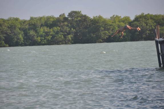Mergulhando do pier no rio, em Galos, região de Galinhos - RN